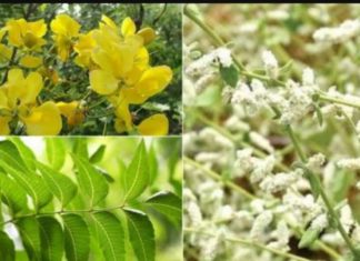 காப்புக் கட்டு … ஆதித் தமிழனின் மருத்துவ அறிவு..!