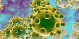 கொரொனா பற்றி அறிய இதை டவுண்லோடு செய்யுங்க