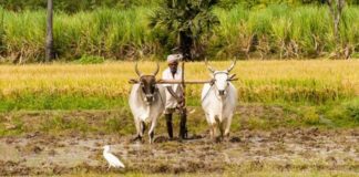 கொரொனாவும்- கிராமப்புறமும்