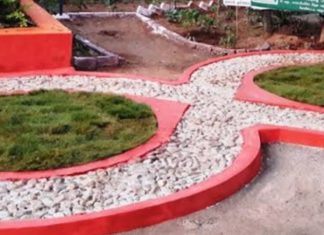 எட்டுக்குள் எல்லா நோய்க்கும் மருந்து-அதிசயம் ஆனால் உண்மை