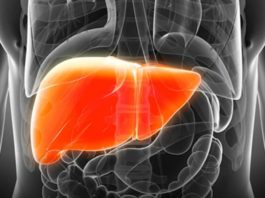 நச்சுகளை நீக்கும் கல்லீரல்