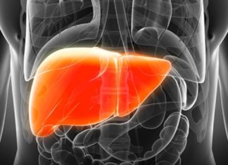 நச்சுகளை நீக்கும் கல்லீரல்