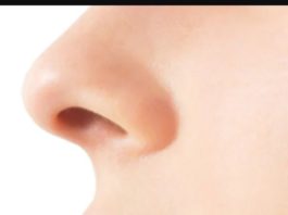 மூக்கு அவ்வளவு முக்கியமா…