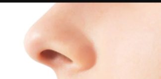 மூக்கு அவ்வளவு முக்கியமா…