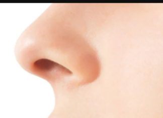 மூக்கு அவ்வளவு முக்கியமா…