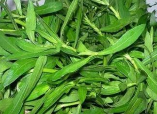 நோய் தீர்க்கும் பொன்னாங்கண்ணி கீரை