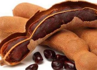 புளி-தலைவலி போக்கும் மருந்து தெரியுமா?