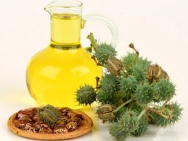 விளக்கெண்ணெய்யில் உள்ள மருத்துவ நன்மைகள் விளக்கெண்ணெய்