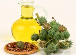 விளக்கெண்ணெய்யில் உள்ள மருத்துவ நன்மைகள் விளக்கெண்ணெய்