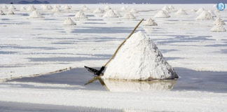 ஊரடங்கால் உப்பள தொழில் பாதிப்பு:வேதாரண்யத்தில் மீண்டும் உப்பு தேக்கம் உப்பள