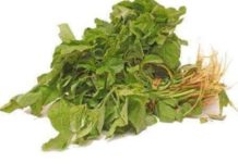 அரைக்கீரை – உணவே மருந்து தினமும் அருந்து