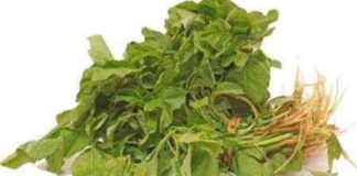 அரைக்கீரை – உணவே மருந்து தினமும் அருந்து