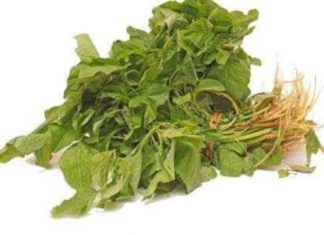 அரைக்கீரை – உணவே மருந்து தினமும் அருந்து