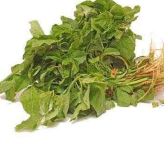 அரைக்கீரை – உணவே மருந்து தினமும் அருந்து