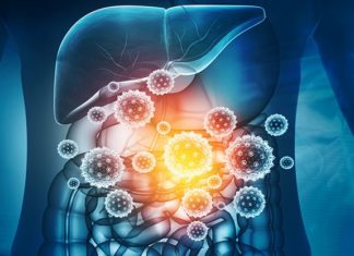 கொரோனா மனித சிறுகுடலை விரும்பி உண்ணும் : பதற வைக்கும் உண்மை! கொரோனா