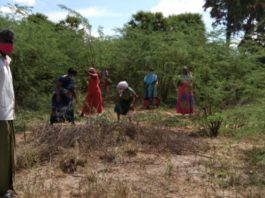 பணிகளை தொடரும் இருக்கன்குடி ஊராட்சி