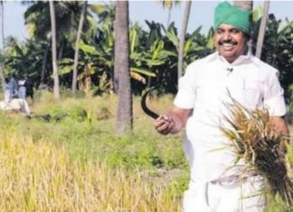 சினிமாவில் அத்திப்பட்டி…சிவகங்கையில் வேப்பங்குளம்?