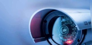 கூடலூர் கோட்டத்தில் வன குற்றங்களை தடுக்க நடவடிக்கை கூடலூர்