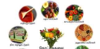 மத்திய அரசின் தோட்டக்கலைத்துறை மானியம் தோட்டக்கலை