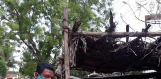 இறவாங்குடி – கொரோனா நிவாரணம் இறவாங்குடி