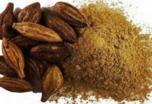 கடுக்காய் – வயிற்றில் உள்ள நச்சுக்களை நீக்க உதவும்..!! கடுக்காய்