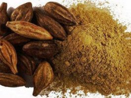 கடுக்காய் – வயிற்றில் உள்ள நச்சுக்களை நீக்க உதவும்..!! கடுக்காய்