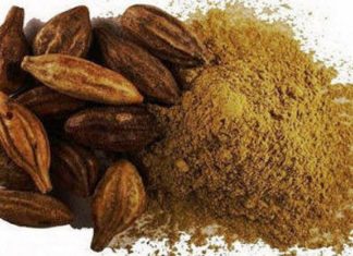 கடுக்காய் – வயிற்றில் உள்ள நச்சுக்களை நீக்க உதவும்..!! கடுக்காய்