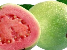 நீரழிவு நோய்க்கு கொய்யா பழம்