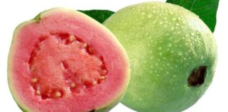 நீரழிவு நோய்க்கு கொய்யா பழம்