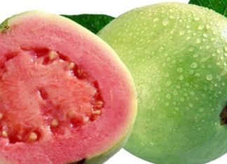 நீரழிவு நோய்க்கு கொய்யா பழம்