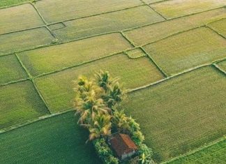 சிக்கிம் – இயற்கை விவசாயமும் , இயற்கை உணவும் சிக்கிம்