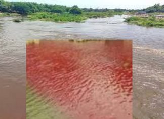 தாமிரபரணி ஆற்றில் தீடீரென்று தோன்றிய சிவப்பு நிறம்..மக்கள் அச்சம் தாமிரபரணி