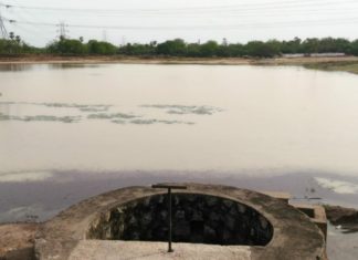 வானம் பார்த்த பூமியில் இருபோகம் விளைவித்து சாதனை