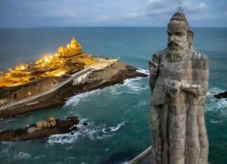 கன்னியாகுமரி மாவட்டம் – தனி அலுவலர் விவரம்