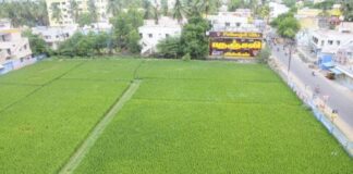 நகரமயம் ஆகுதலும் – ஊராட்சிகளின் நிலைமையும்