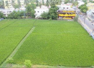 நகரமயம் ஆகுதலும் – ஊராட்சிகளின் நிலைமையும்