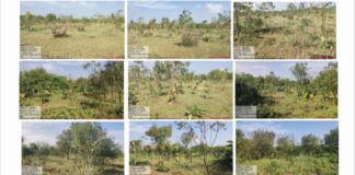 உதாரணமாக திகழும் ஊராட்சி செயலாளர் – பாராட்டுமா அரசு?