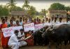 எருமை மாட்டிடம் மனு கொடுக்கும் போராட்டம் அறிவிப்பு