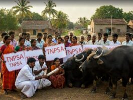எருமை மாட்டிடம் மனு கொடுக்கும் போராட்டம் அறிவிப்பு