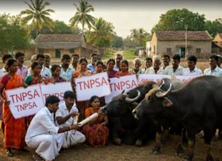 எருமை மாட்டிடம் மனு கொடுக்கும் போராட்டம் அறிவிப்பு