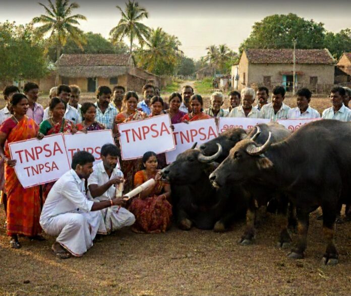 Screenshot_20251206_195249_WhatsApp