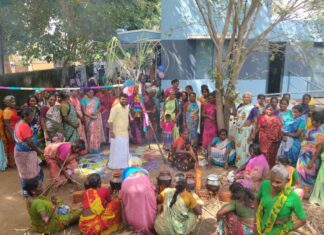 சிவகங்கை மாவட்ட பெரும்பச்சேரி ஊராட்சியில் சமத்துவ பொங்கல் விழா